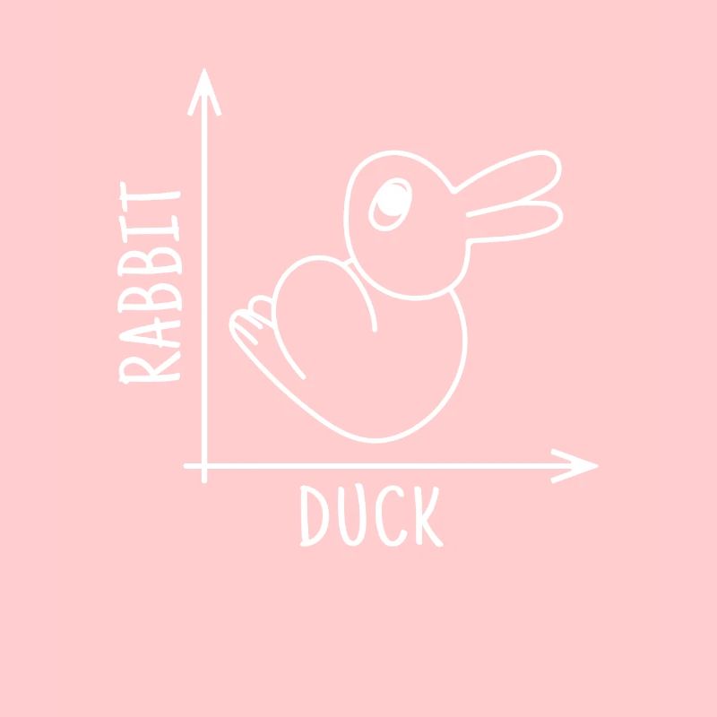 Rabbit Duck Illusion