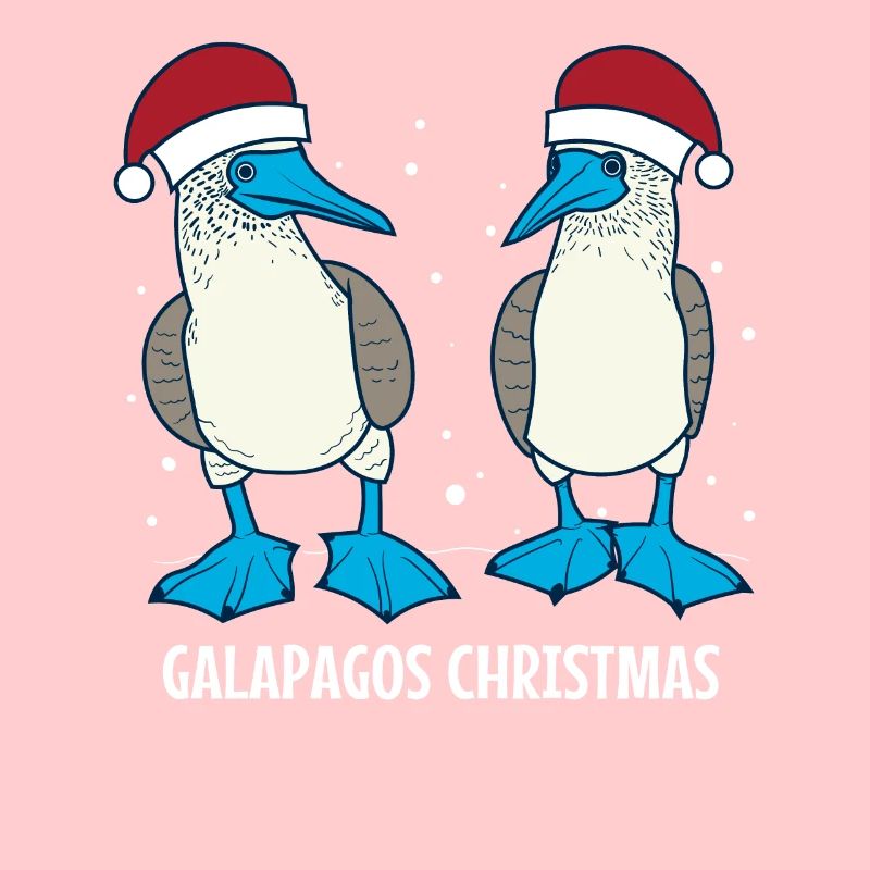 Noël aux Galapagos