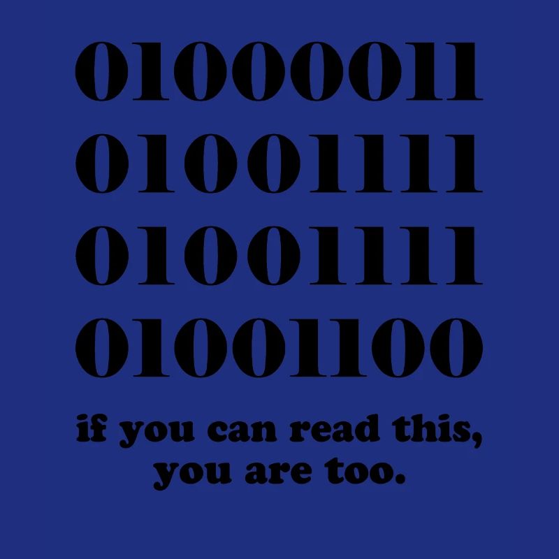 Computer binary code developers gift