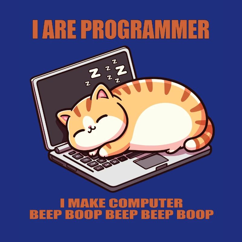 Je suis programmeur, gros chat endormi