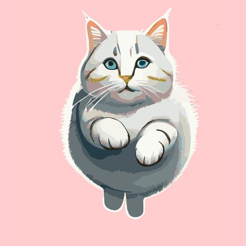 Le chat dans le saut
