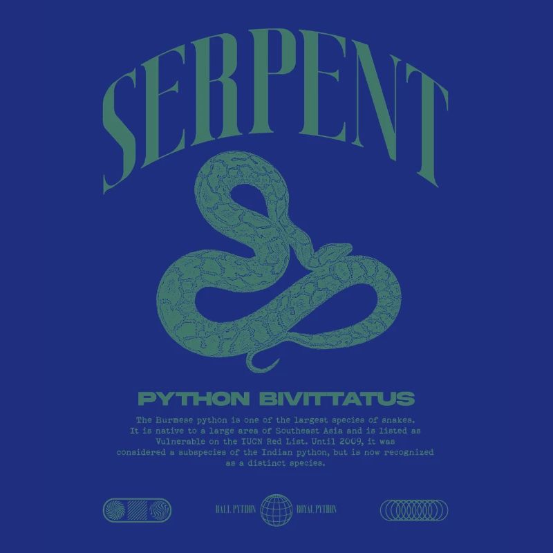 Burmese Python Modern Reptile Keeper Streetwear