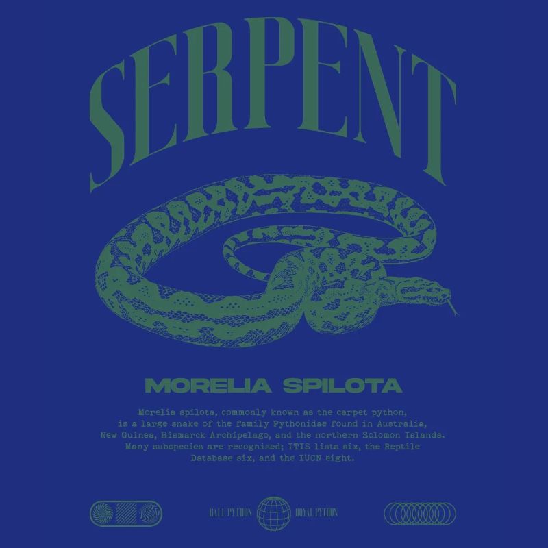 Tapis Python Moderne Reptile Keeper Streetwear