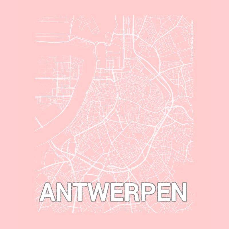 Antwerp city map and streets