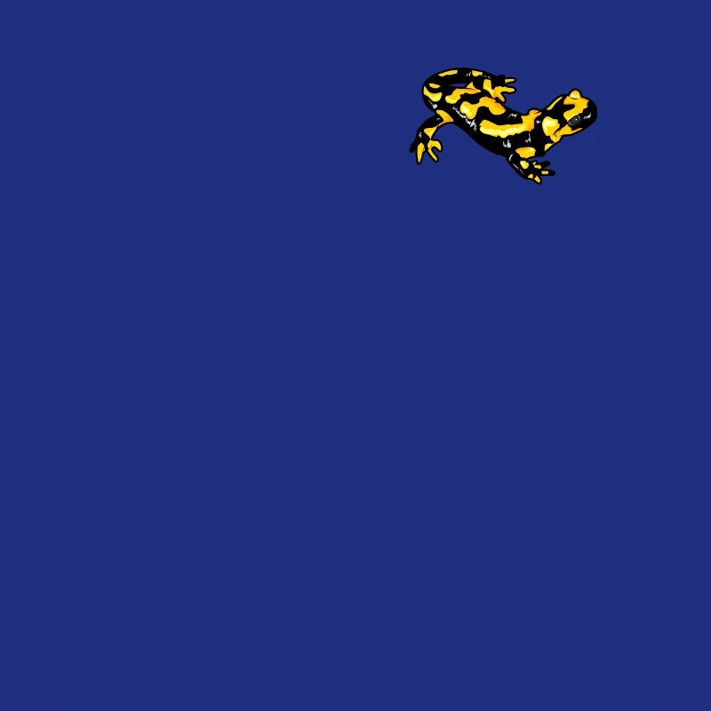 Fire Salamander Logo True Salamander Fire Newt