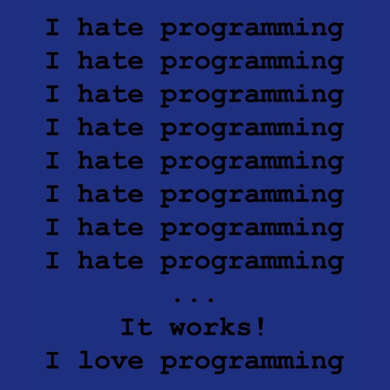 Developer computer scientist