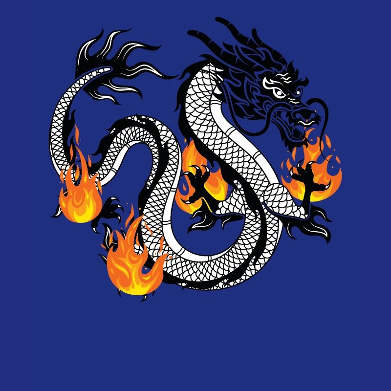 Dragon Dragons Conception dragon