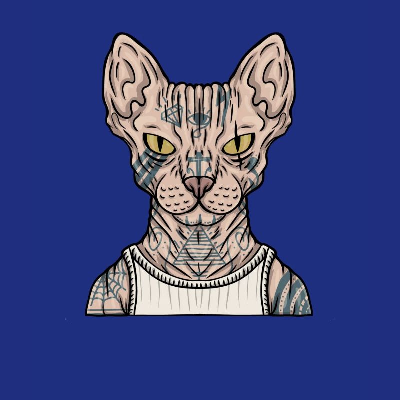 Tatouage mignon de chat gla poilu de sphynx de chat