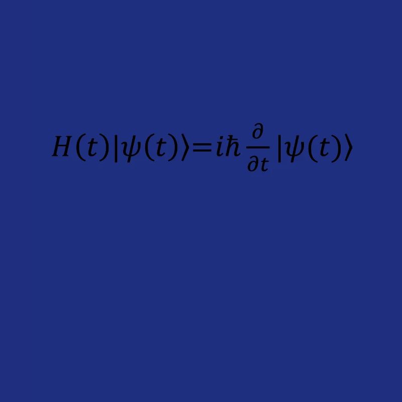 Schrödinger Equation Physicist Gift Physics