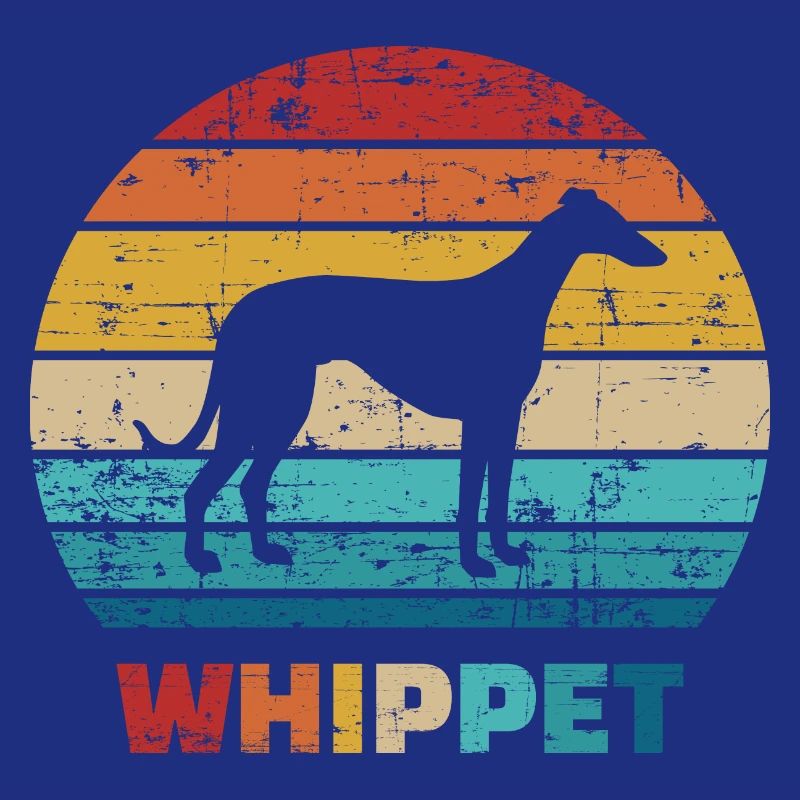 Whippet