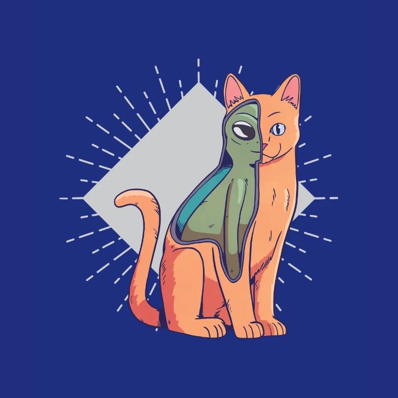 Chat étranger