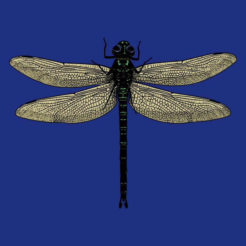Une libellule - libellule