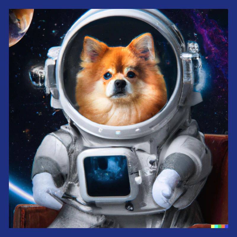 Poméranien en combinaison spatiale - chien dans l’espace