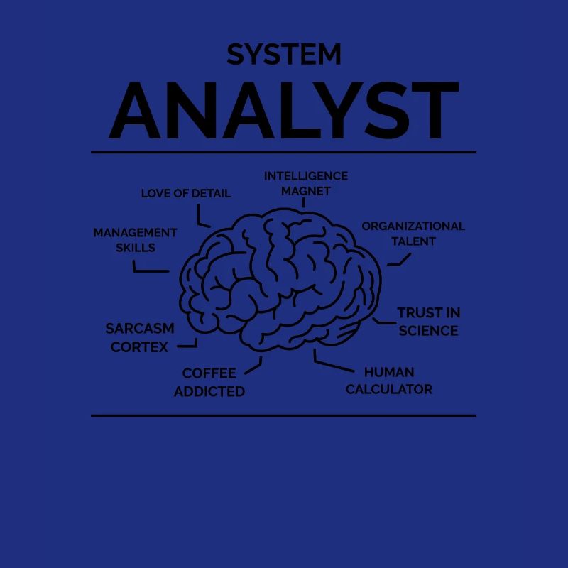 Systems analyst