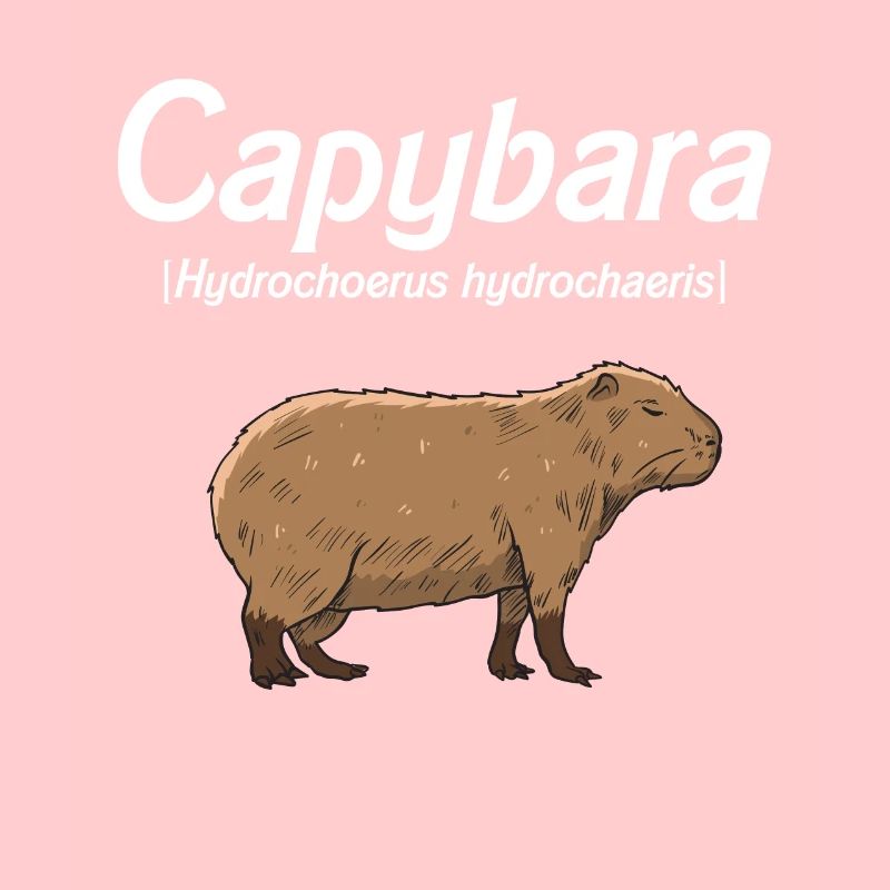 Capybara Gift Idea Cute Capybara Capybara
