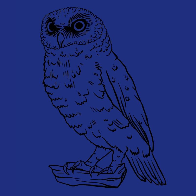 Hibou simple