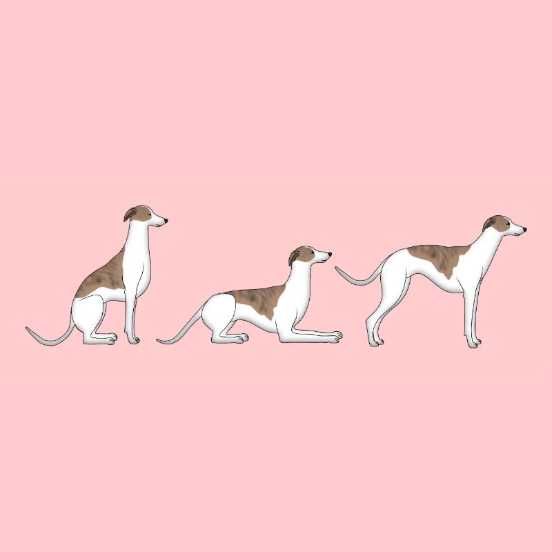 Sitz Platz Steh Whippet