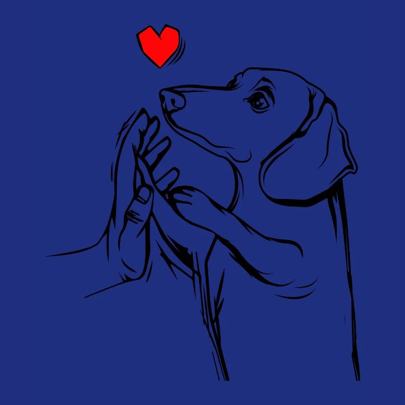 dachshund