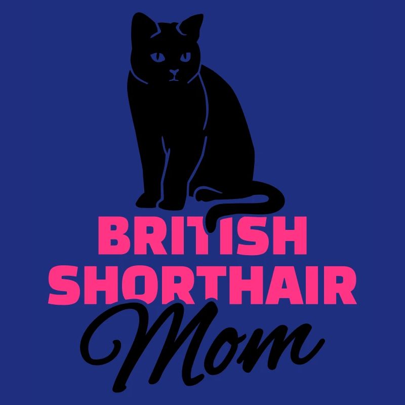 Britisch Kurzhaar Katze