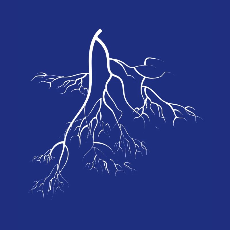 root