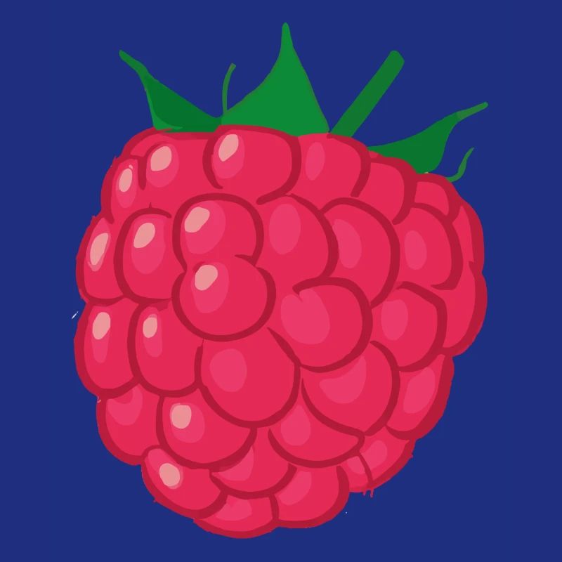 Himbeere Illustration Geschenkidee