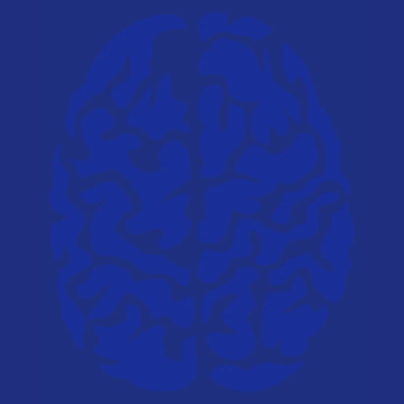 brain seen on drawing