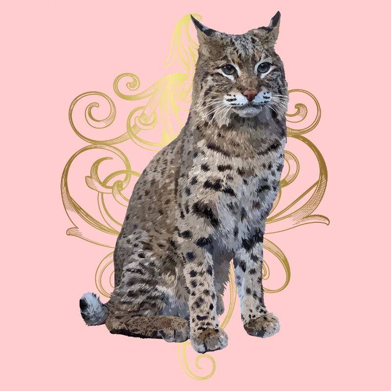 Lynx