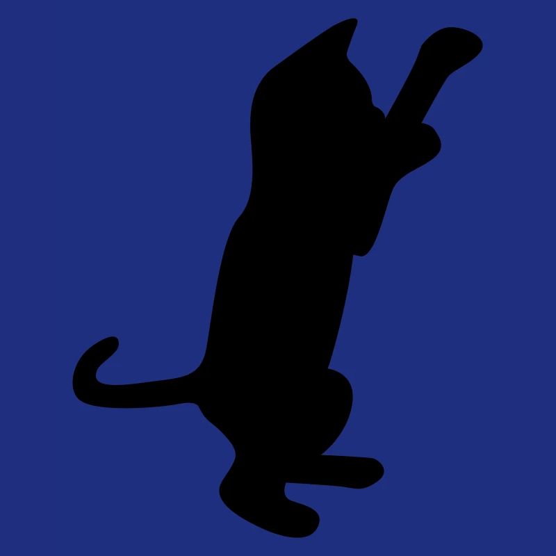 cat kitten