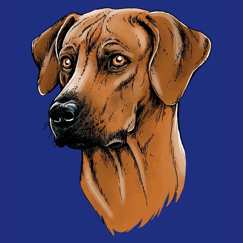 Rhodesian Ridgeback