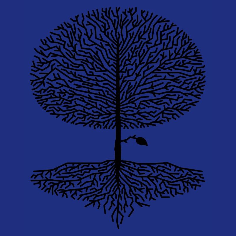 Deciduous Tree Crown Branches Forest Oaks Beech Nature Climate