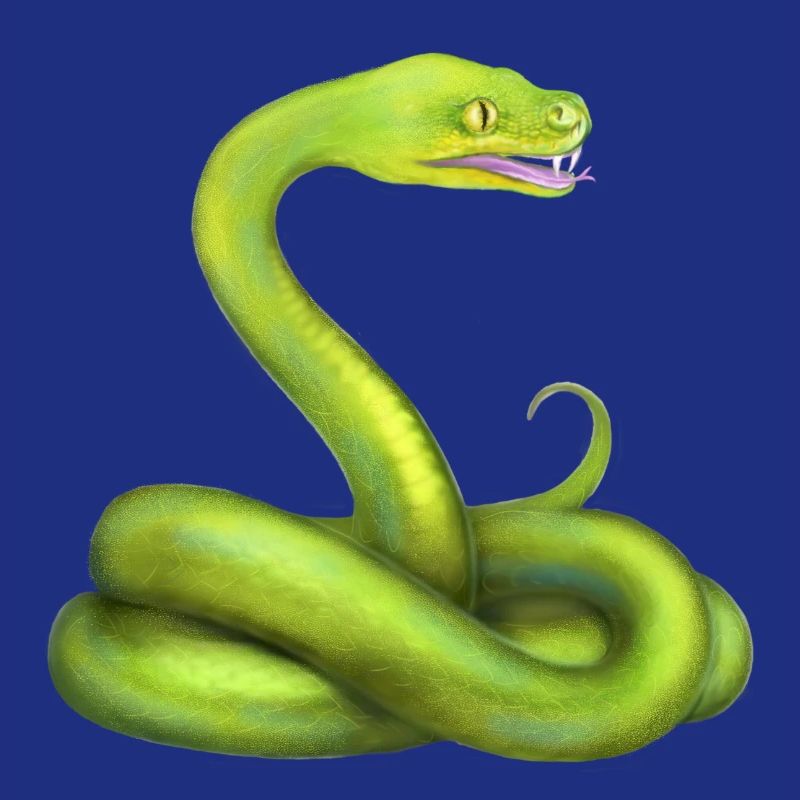 Der Grüne Python Schlange Dschungel Tier