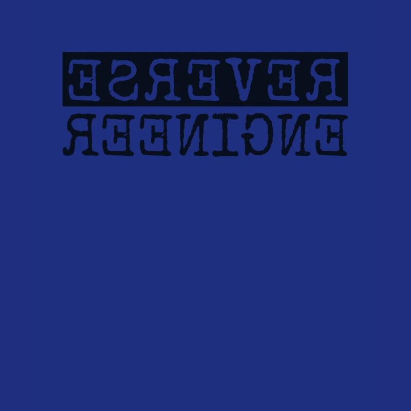 Reverse Engineer Softwareingenieur Developer