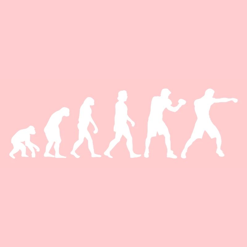 Evolution Boxer Boxhandschuhe Boxen Geschenk