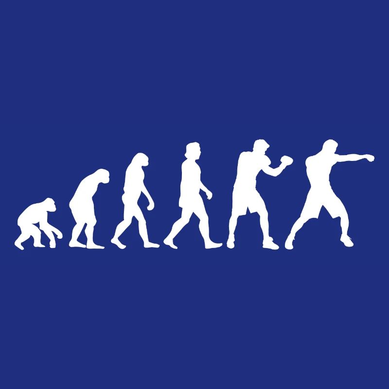 Evolution Boxer Boxhandschuhe Boxen Geschenk