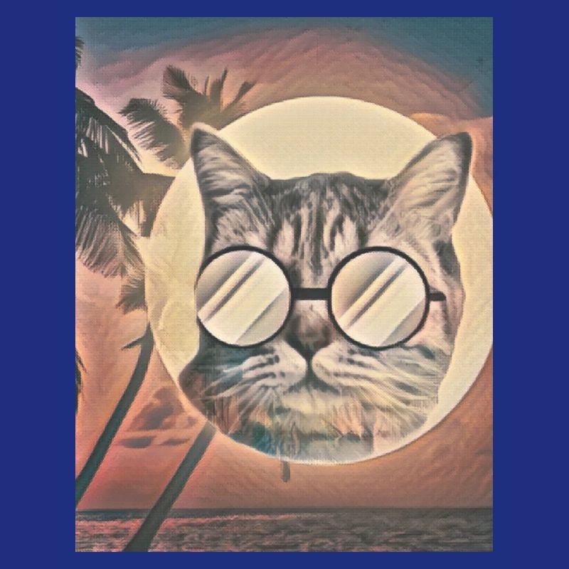 Saveur d’été de chat