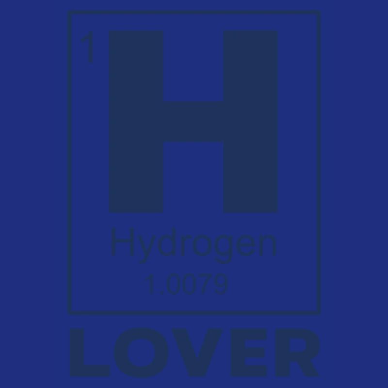 Hydrogen Lover Hydrogen Fuel Cell