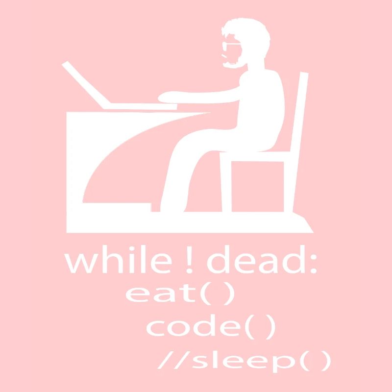 Cadeau de programmeur développeur de logiciels