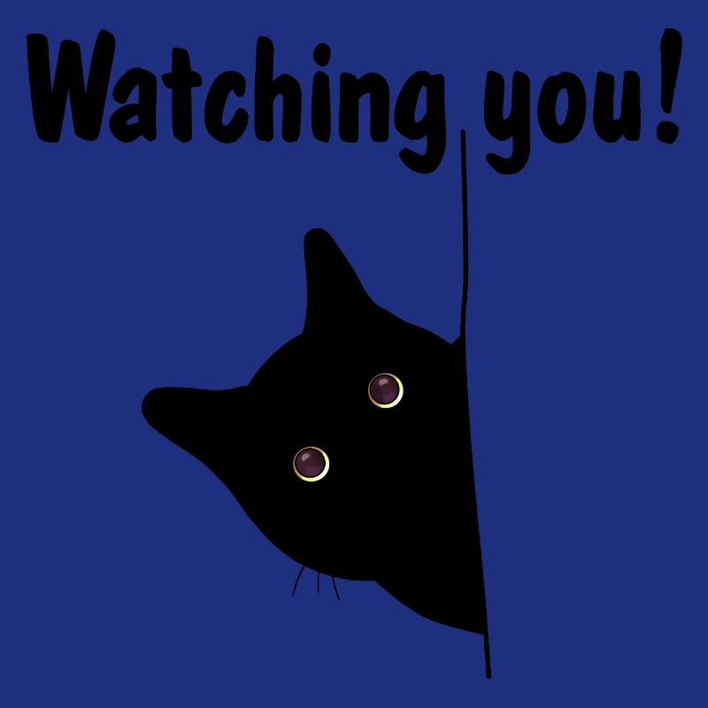Le chat noir te regarde!