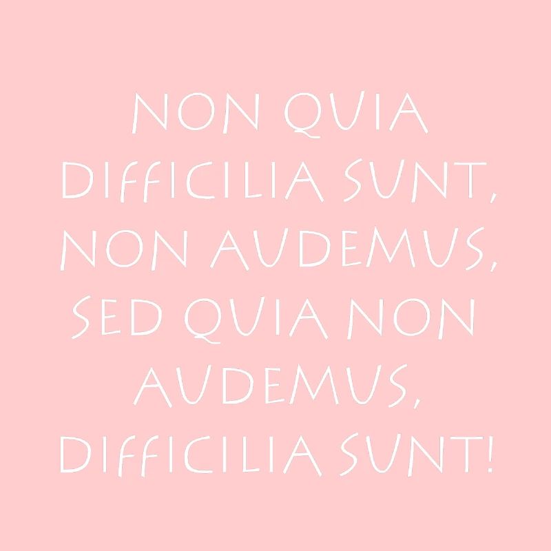 Non quia difficilia sunt non audemus