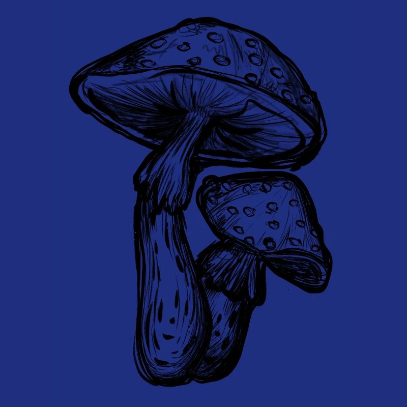 Toadstools Illustration