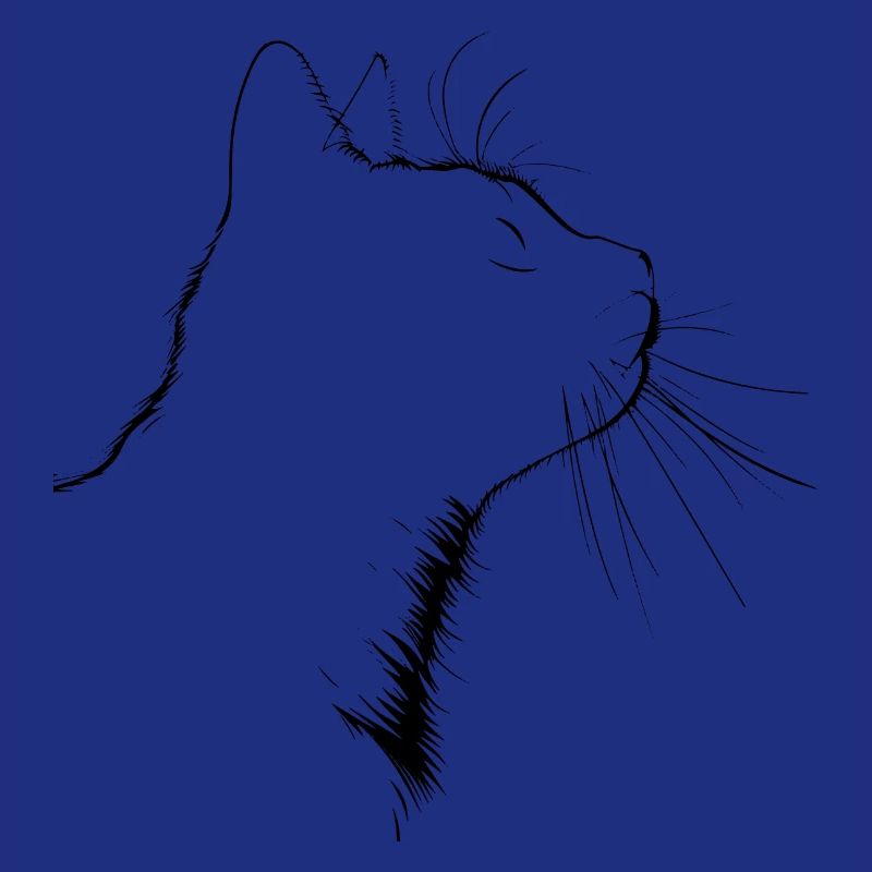 Chat, Motif De Chat