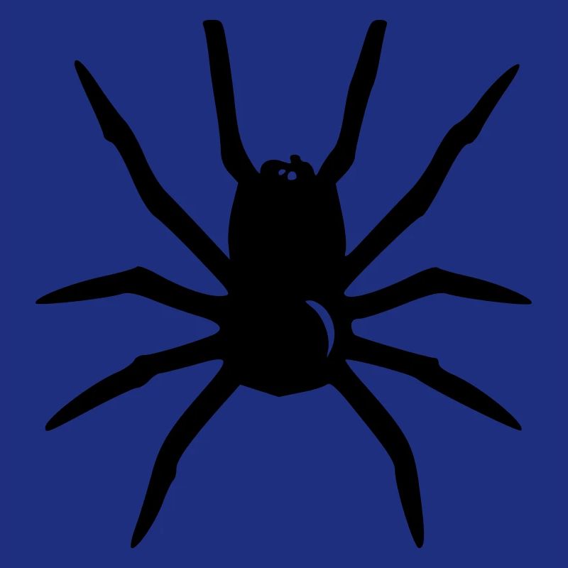 Araignée