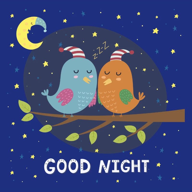 Good Night / Birds