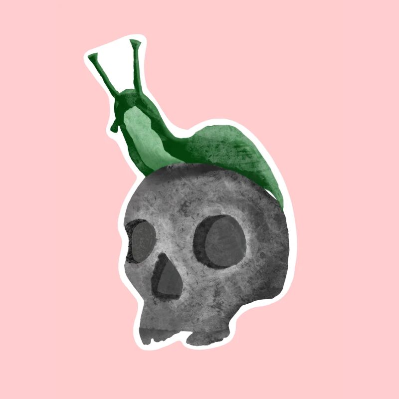 Crâne avec escargot