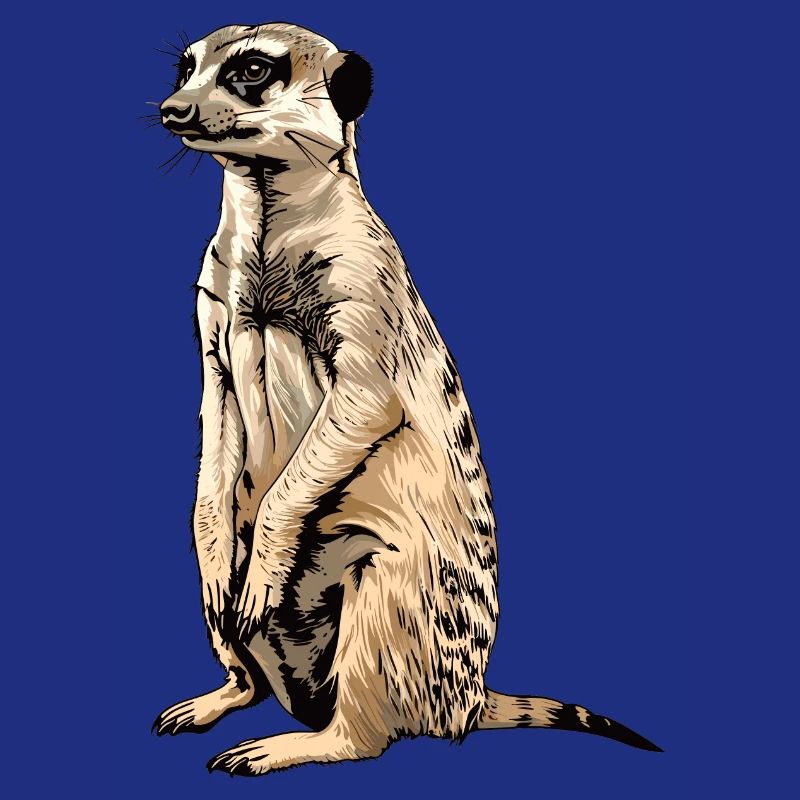 Suricate