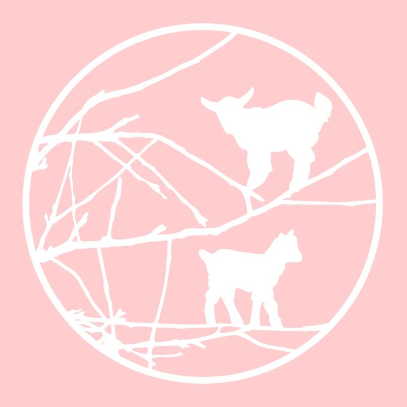 Goats in the tree | Goats in a tree