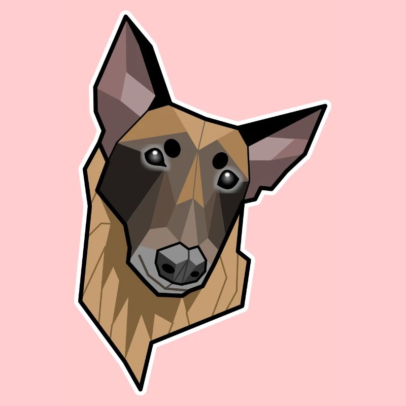 Geometric Malinois