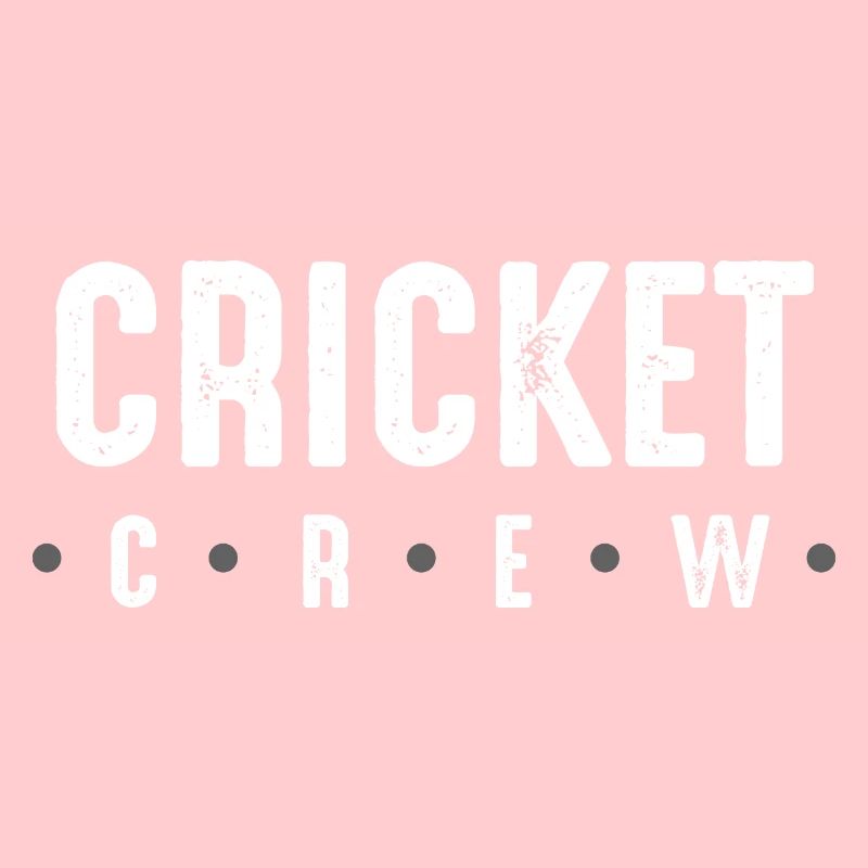 Équipe de cricket