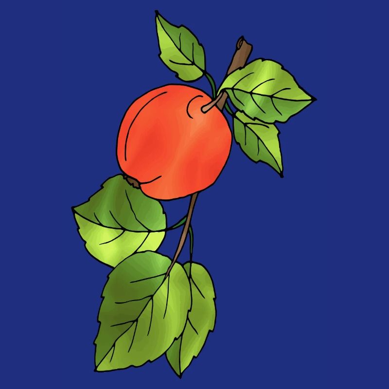 Pomme