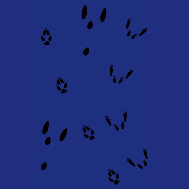 Trittsiegel Hase, Fuchs, Eichhörnchen